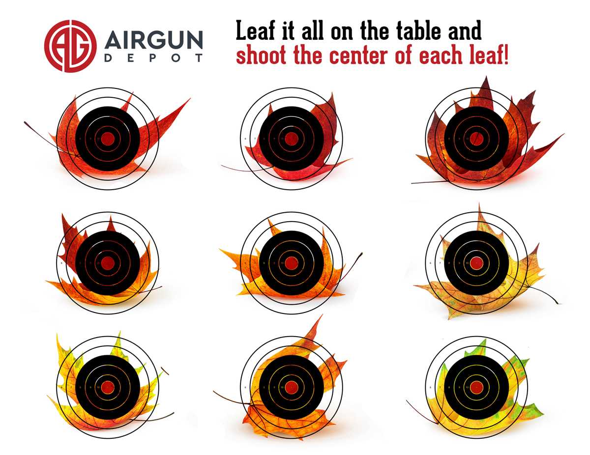 22 cal targets printable