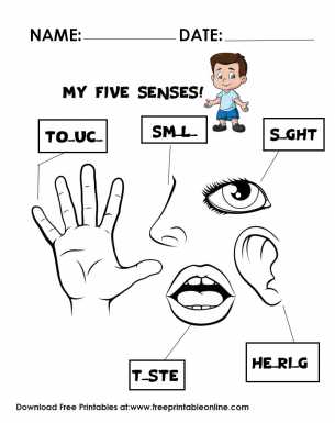 5 senses printables free