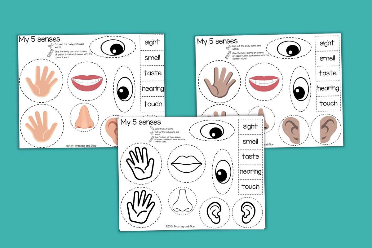 5 senses printables free