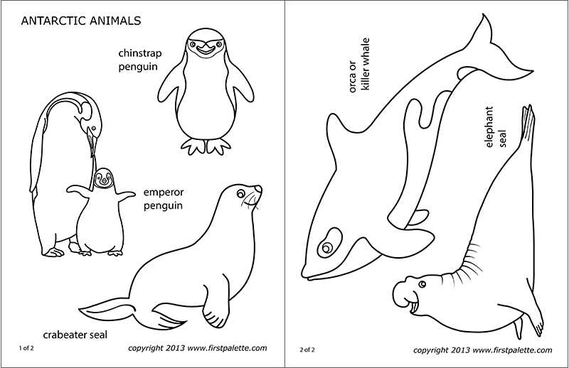 arctic animals printables