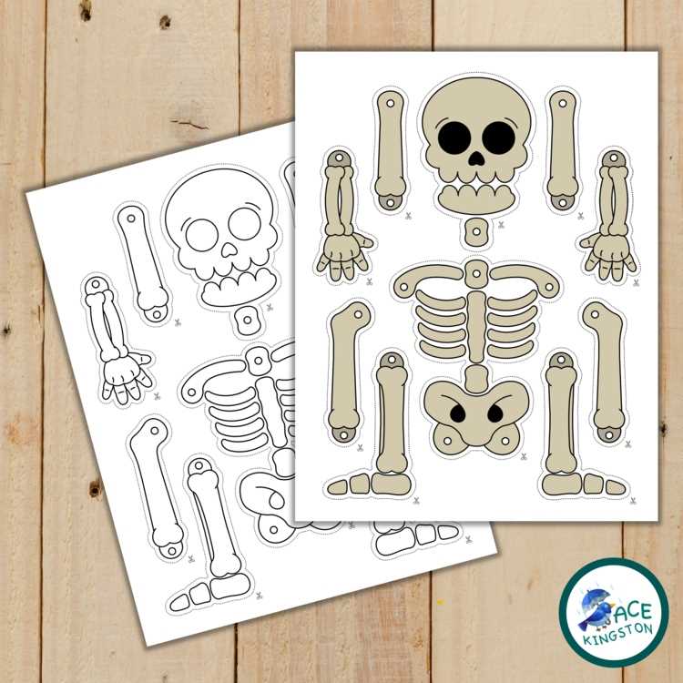 assemble a skeleton printable