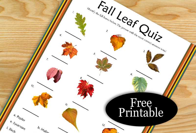 autumn leaves free printables