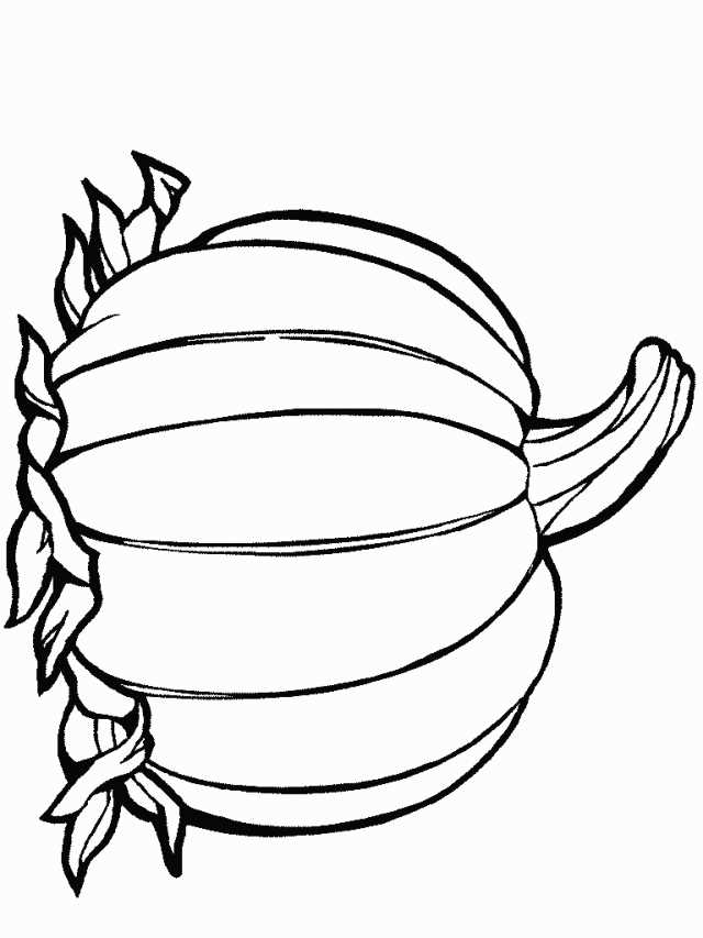 blank pumpkin template printable