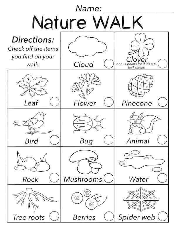 bug scavenger hunt printable