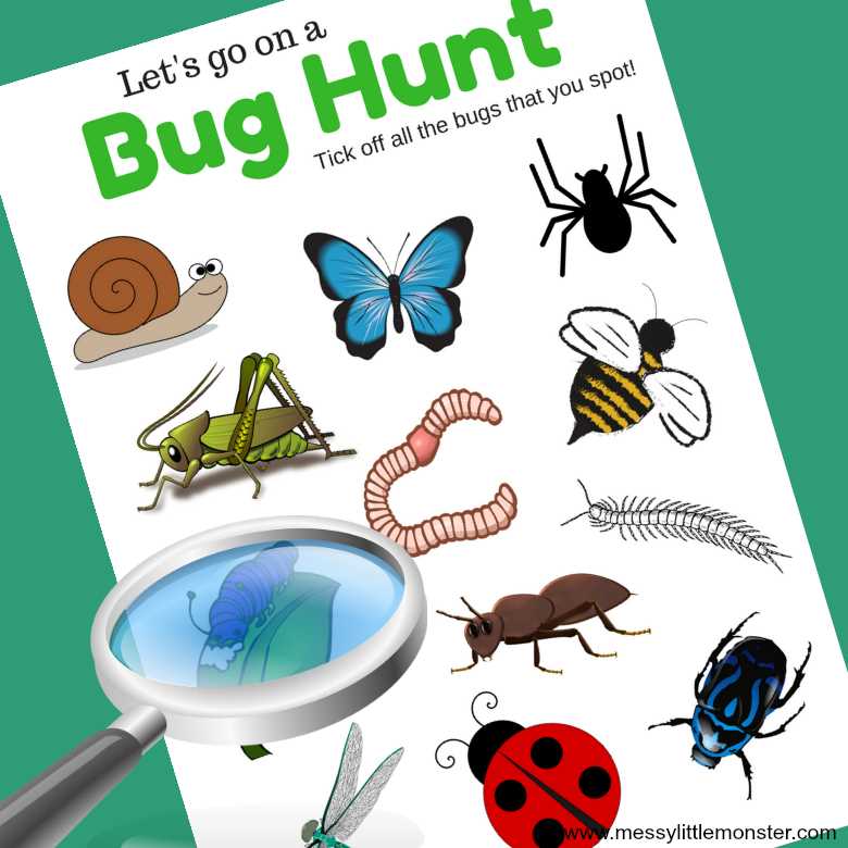 bug scavenger hunt printable