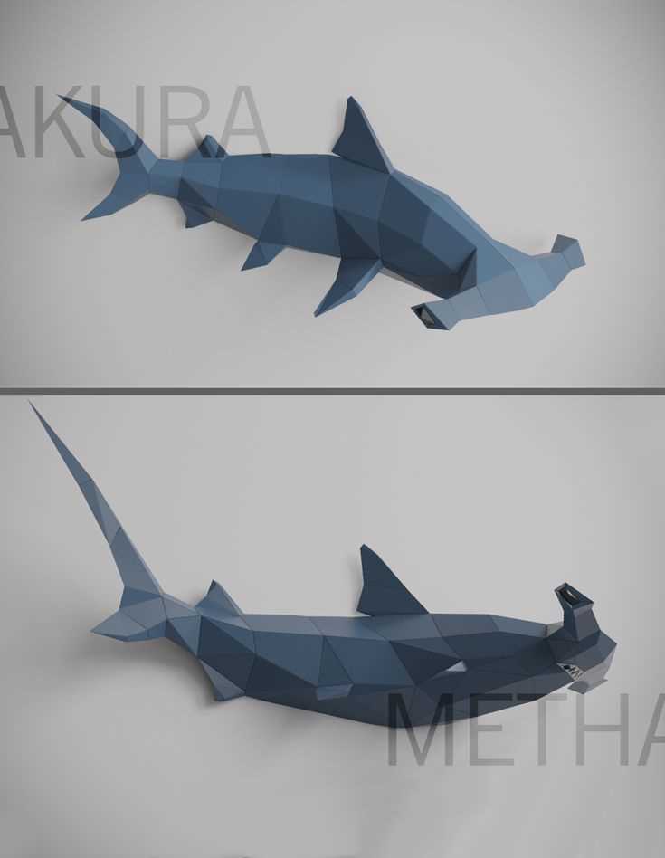 cardboard shark template printable