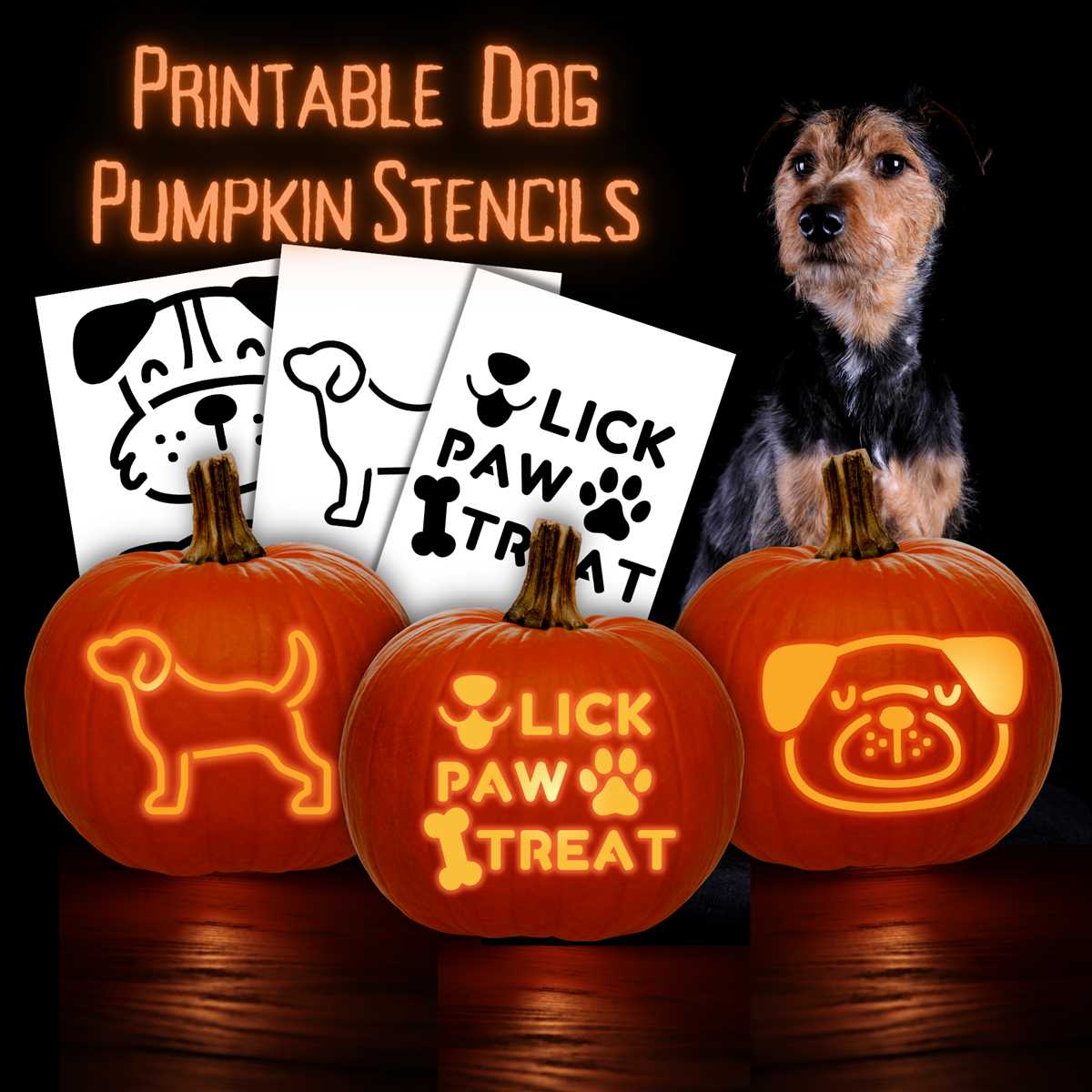 cool pumpkin stencils printable