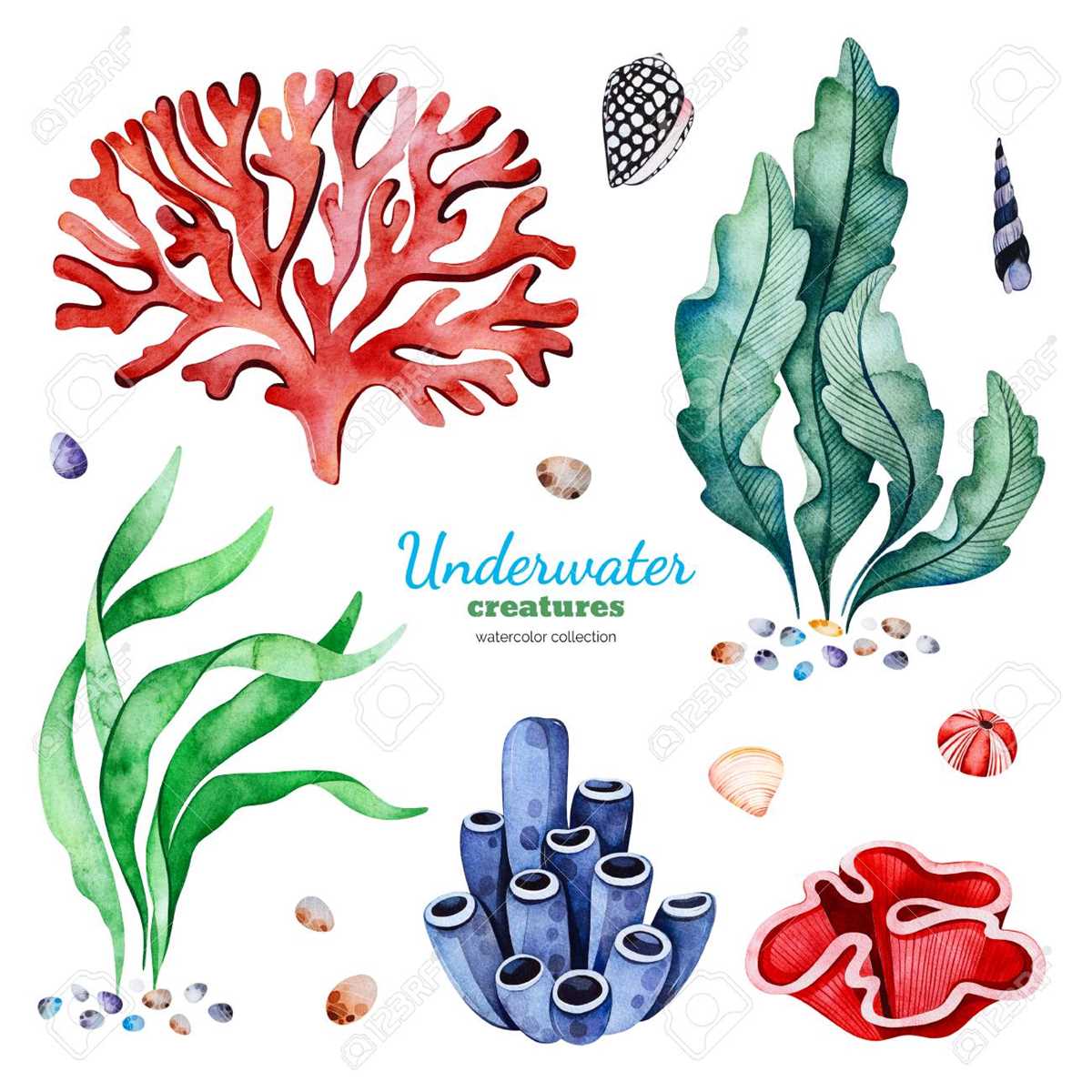 coral reef printable