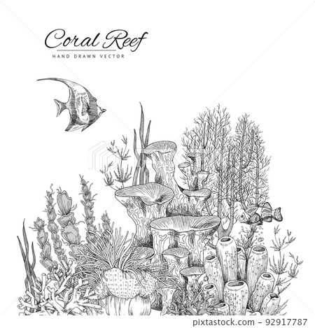 coral reef printable