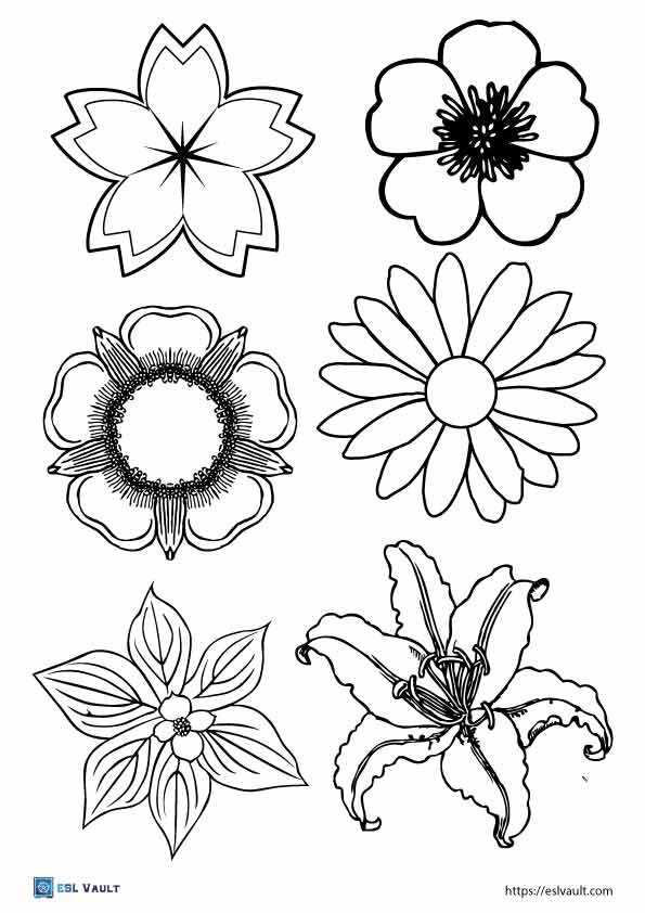 cut out flower template printable