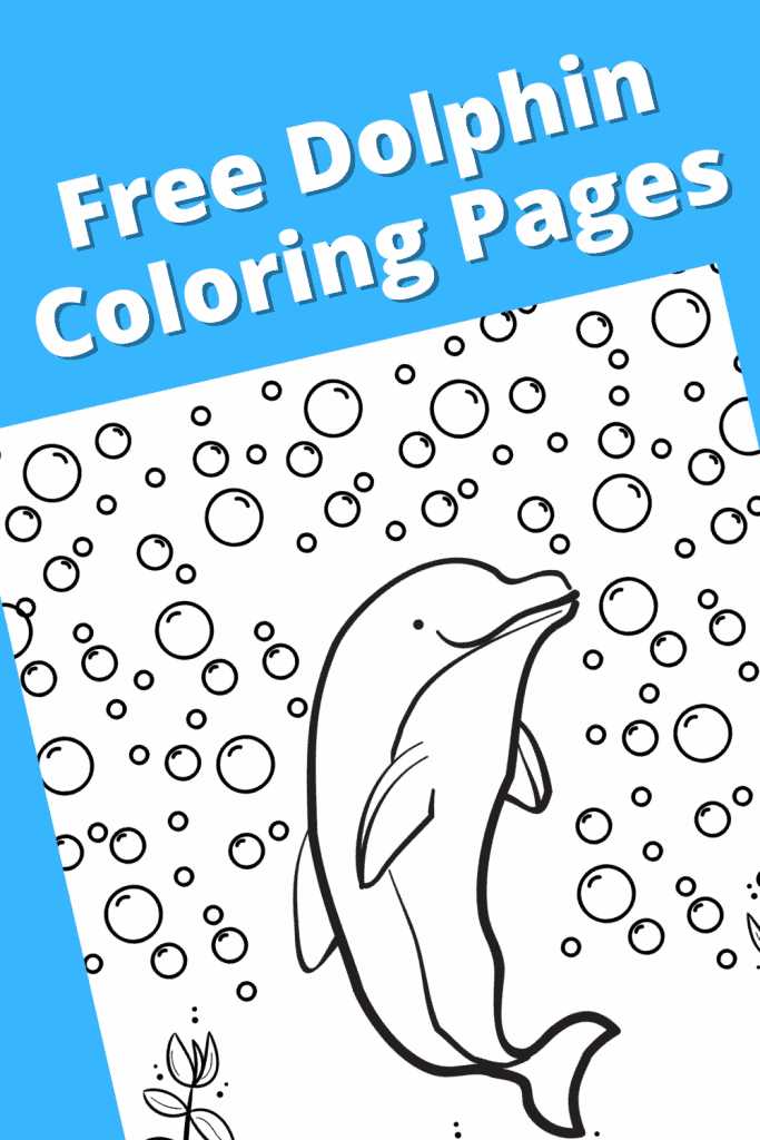 dolphin colouring pages free printable