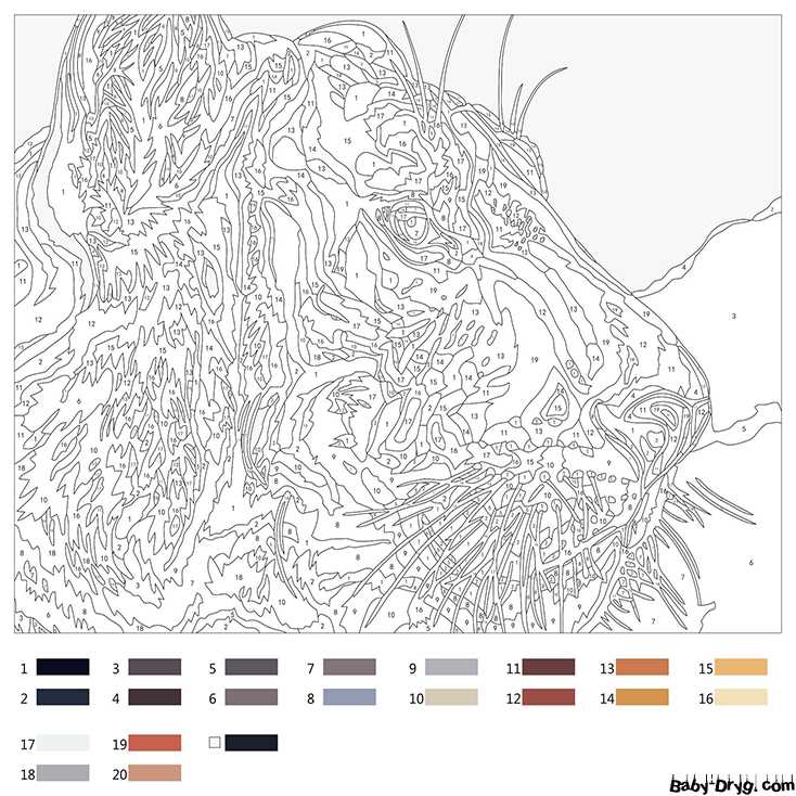 draw by numbers printable