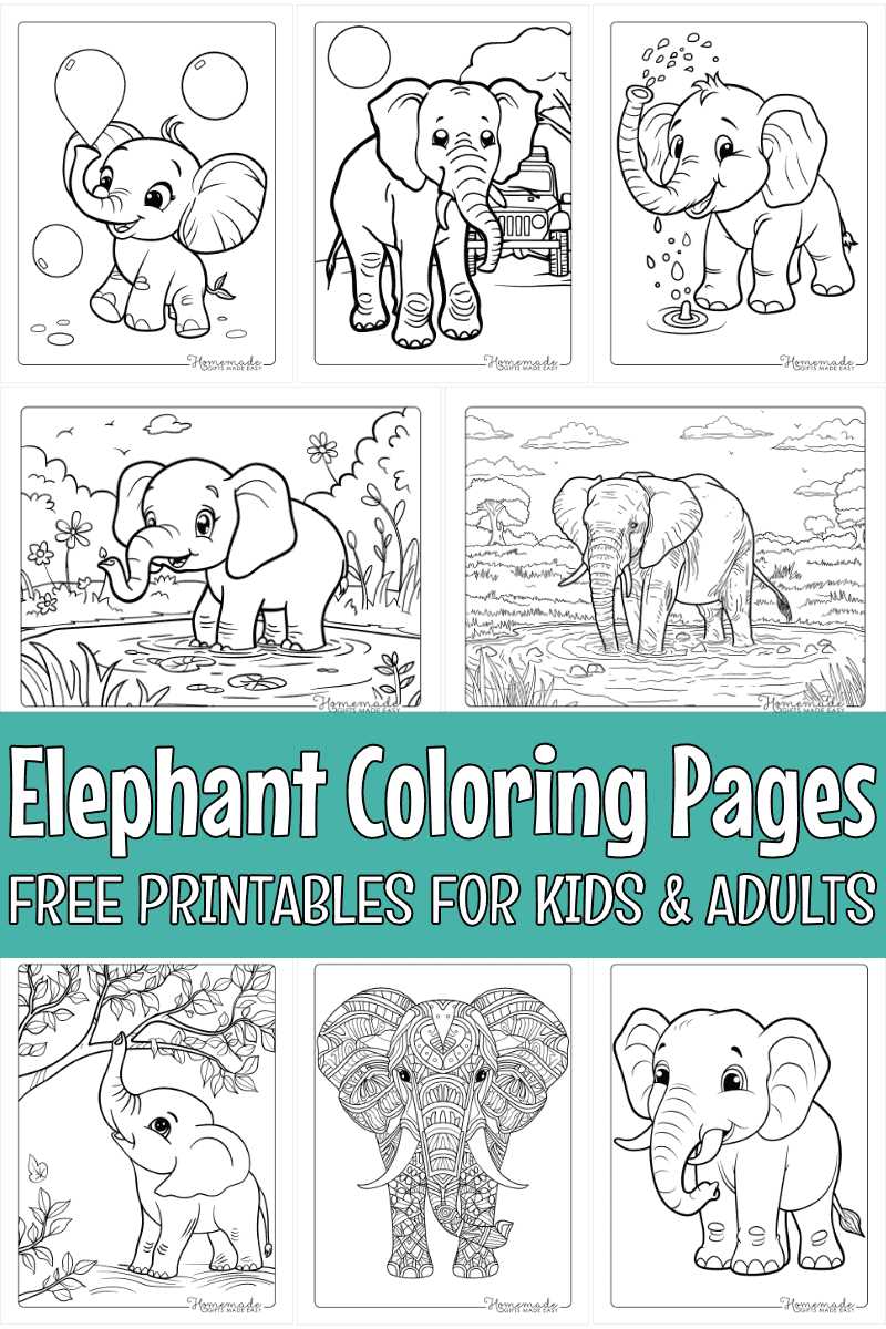elephant coloring printables