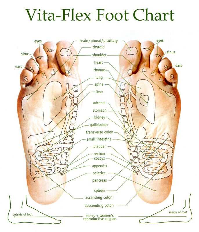 essential oils chart printable