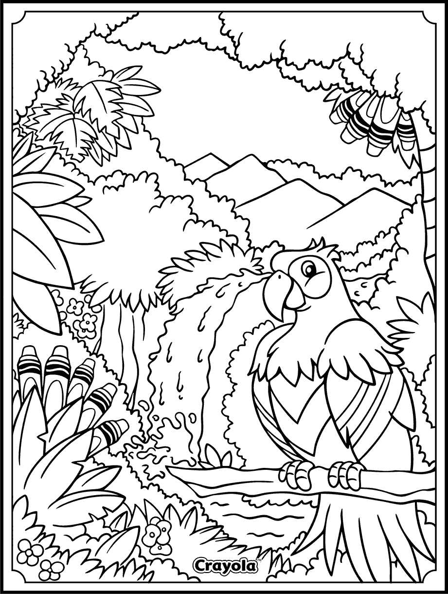 free printable coloring pages birds
