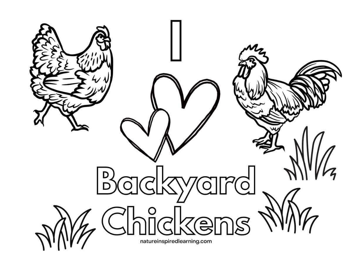 free printable coloring pages of chickens