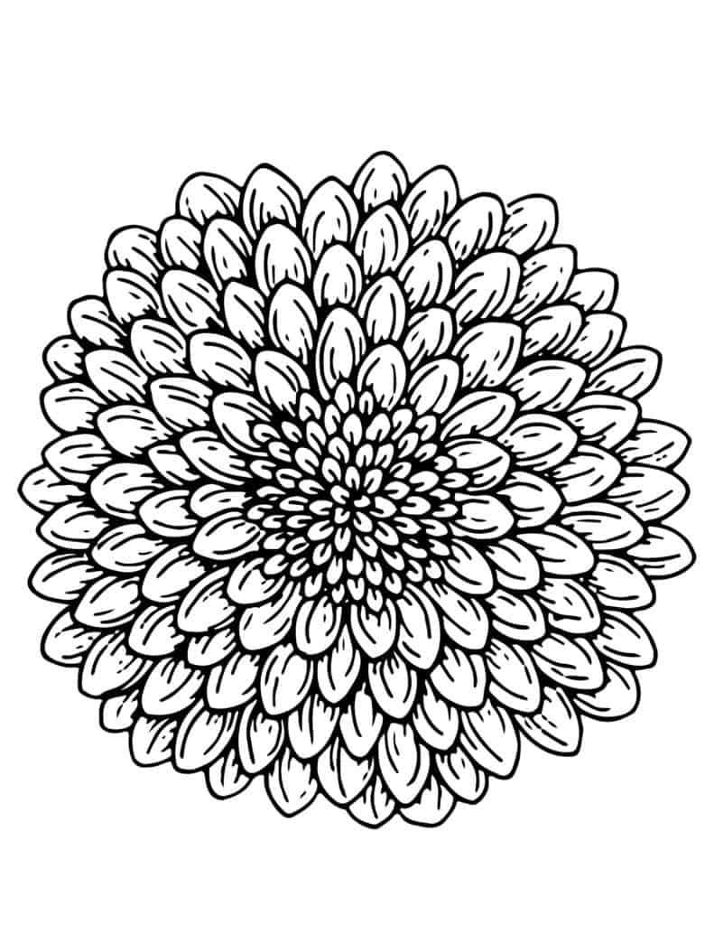 free printable flower coloring sheets