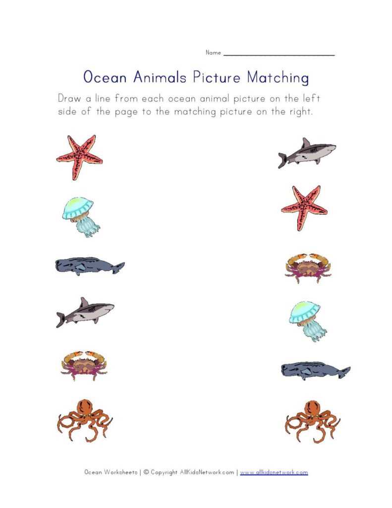 free printable ocean worksheets for preschoolers