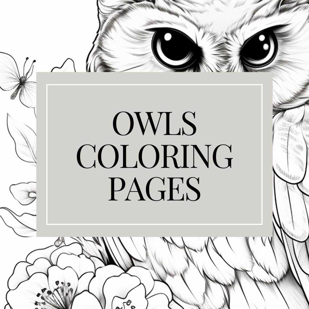 free printable owl coloring page