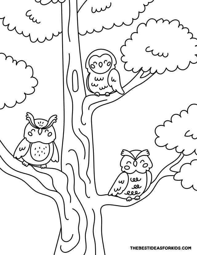 free printable owl coloring page