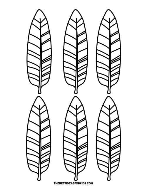 free printable turkey feather template