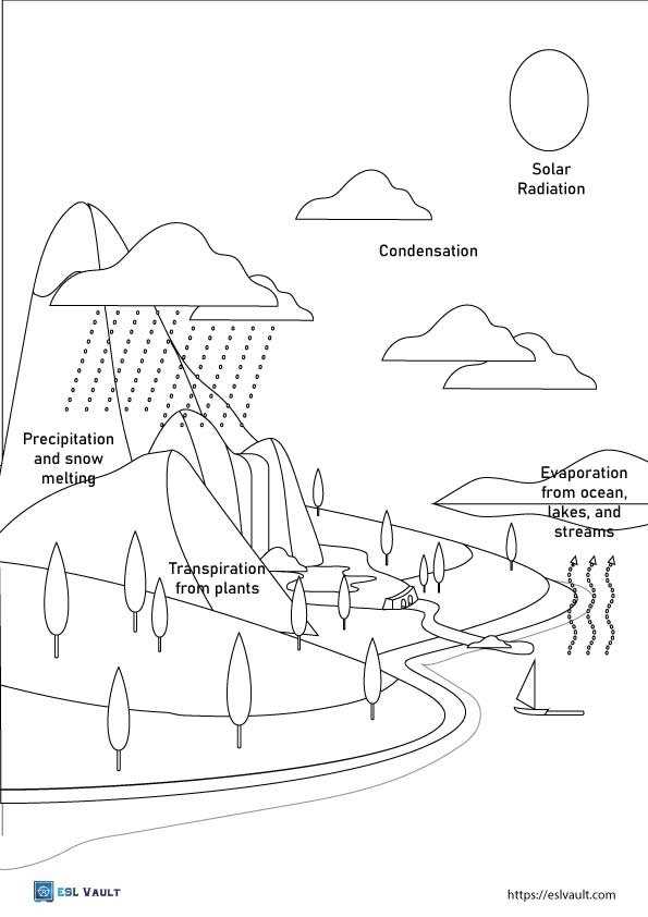 free printable water cycle worksheets
