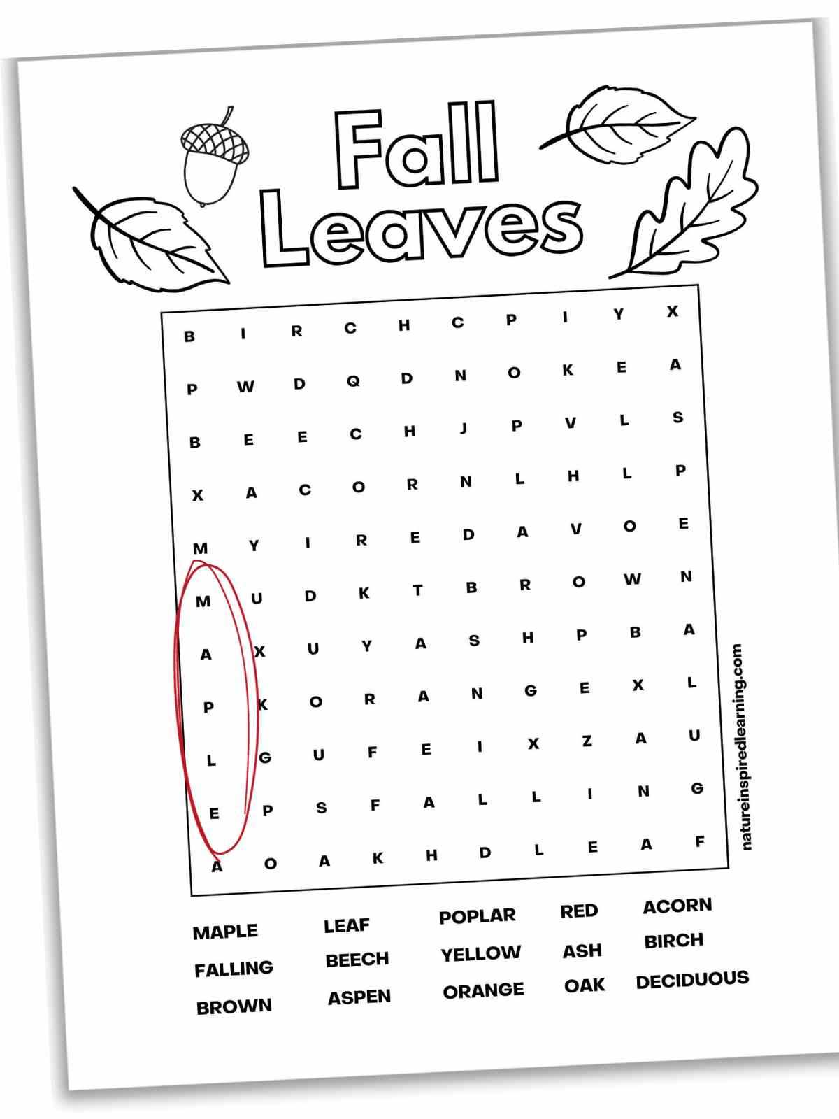 free printable word searches for 2nd graders