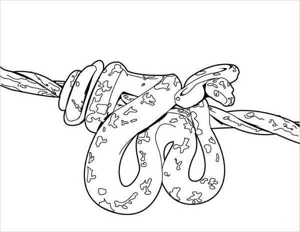 free snake coloring pages printables