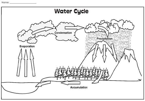free water cycle printables