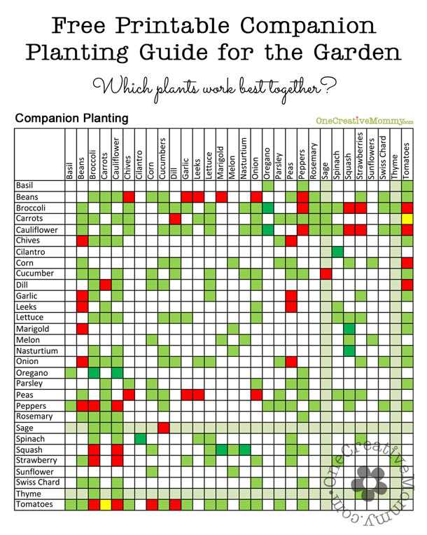garden layout free printable printable companion planting chart