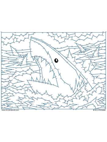 great white shark printable