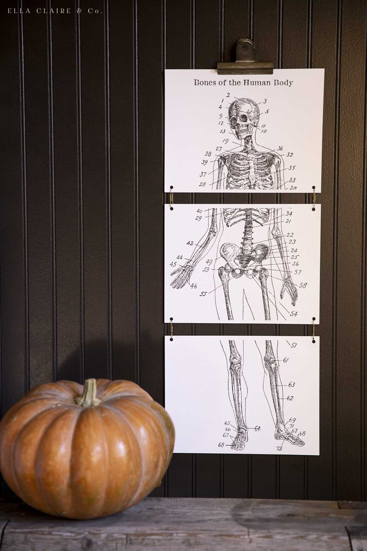 halloween skeleton printable