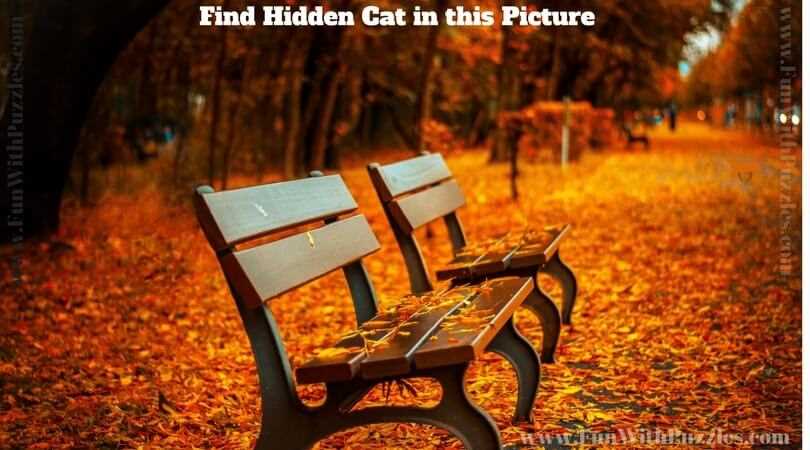 hidden pictures printable for adults