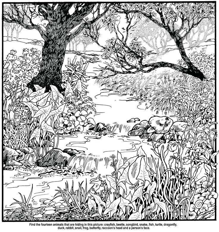 hidden puzzle pictures printable