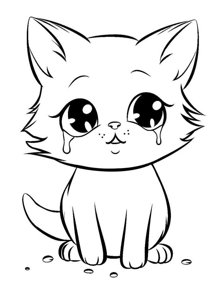 kitten coloring page printable