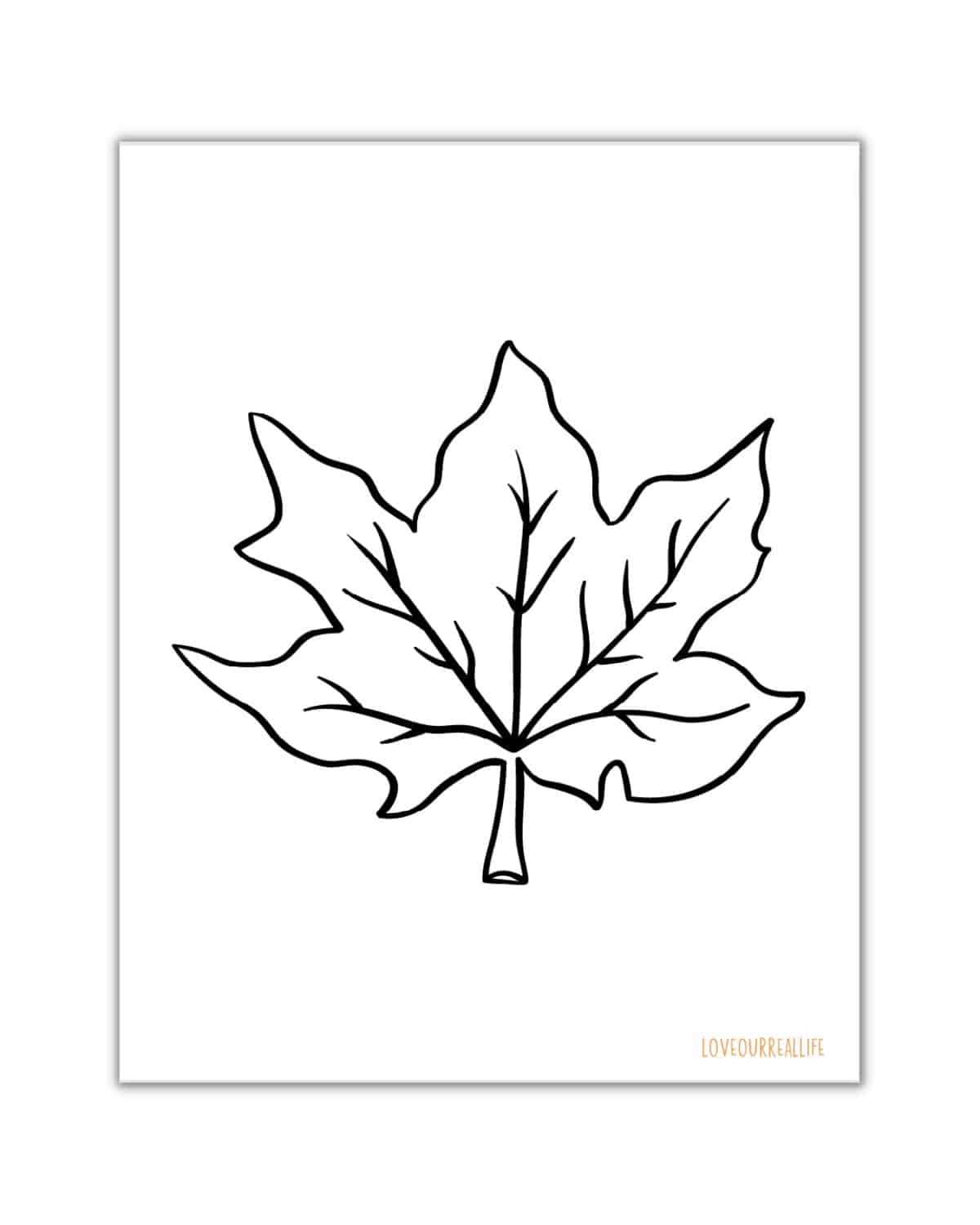 leaf coloring sheets printable