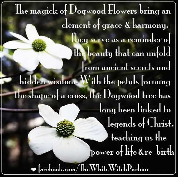 legend of the dogwood tree poem printable