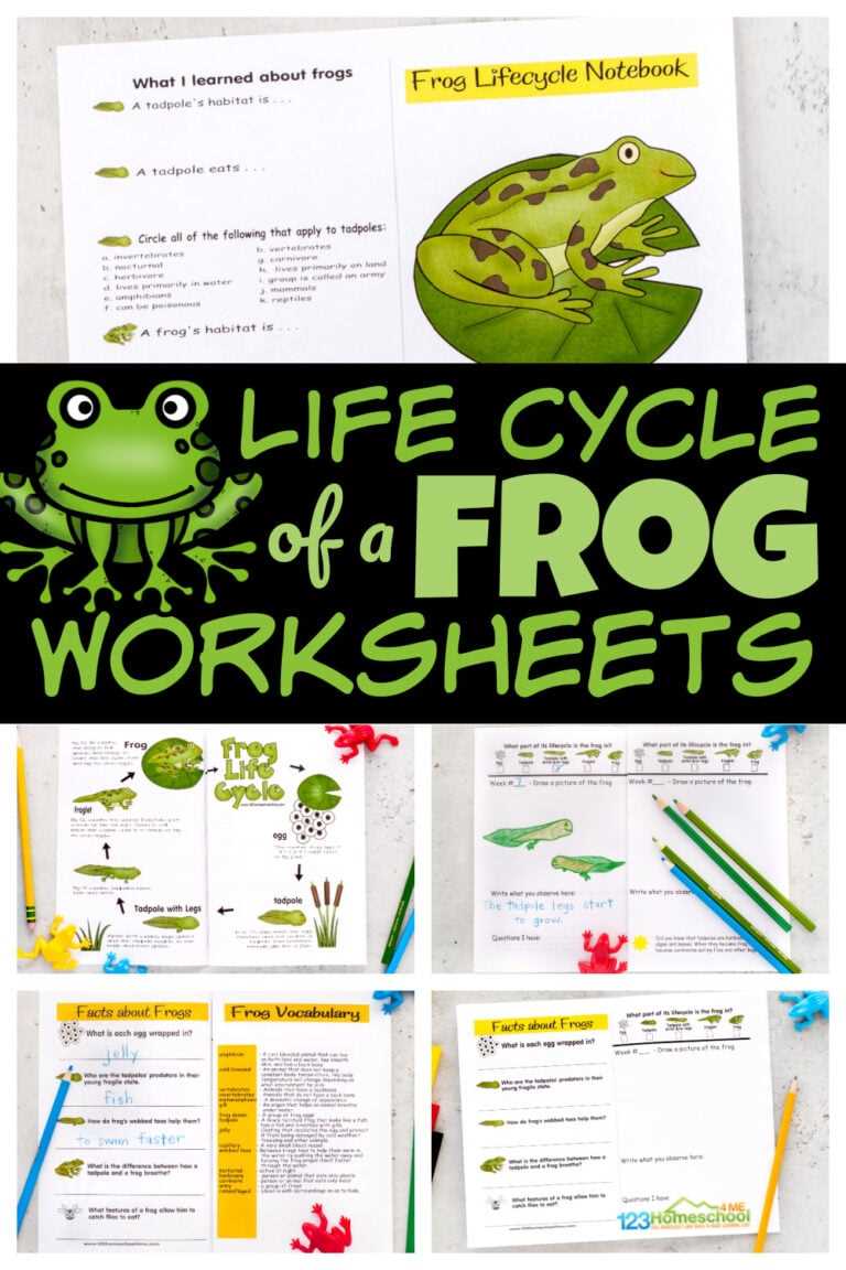 life cycle of a frog printable