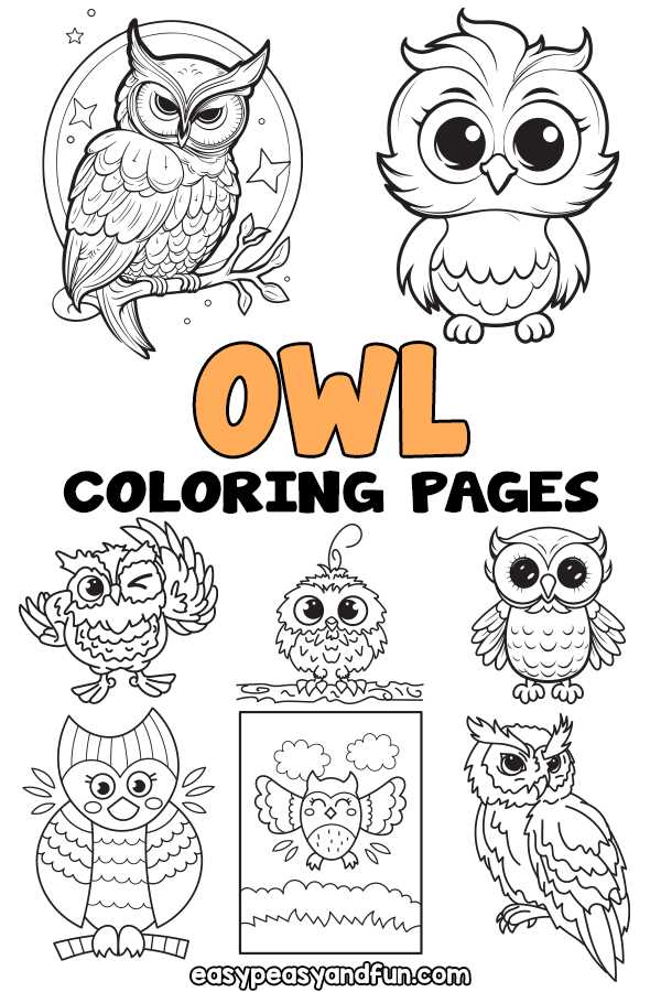 owl coloring page printable