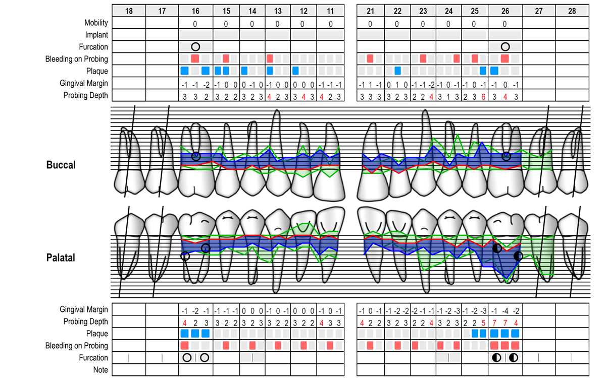 periodontal chart printable
