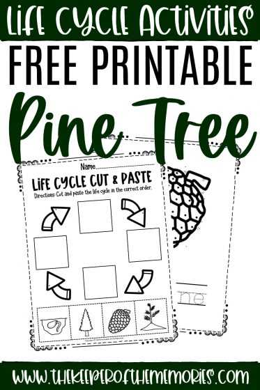 pine tree printable