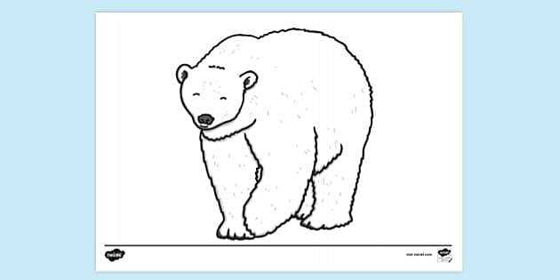polar bear coloring pages printable