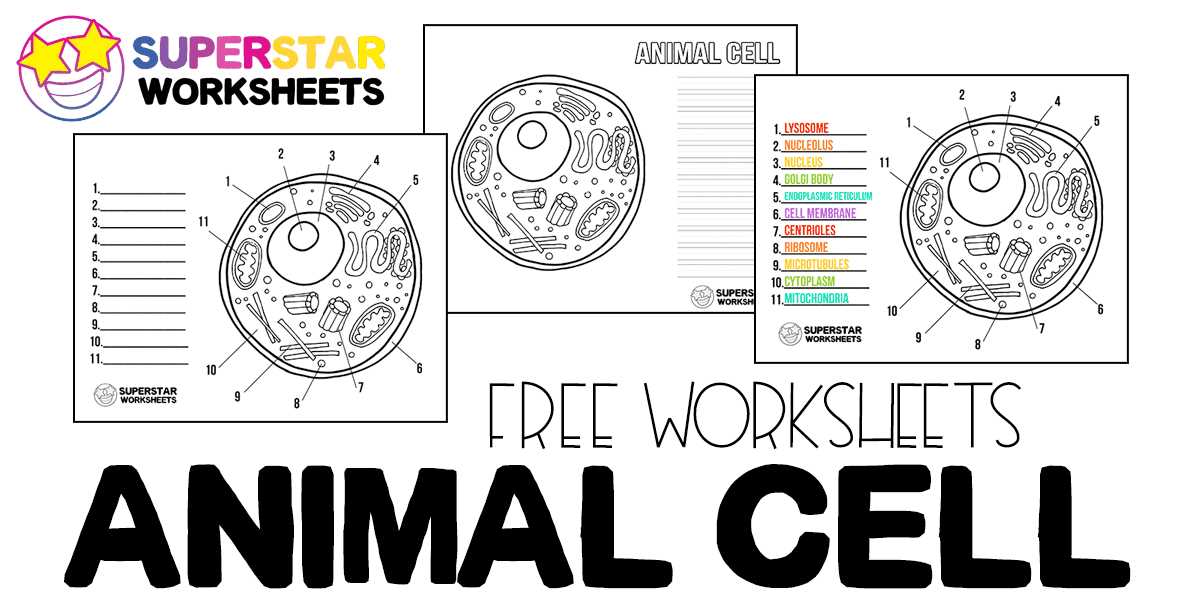 printable animal cell diagram