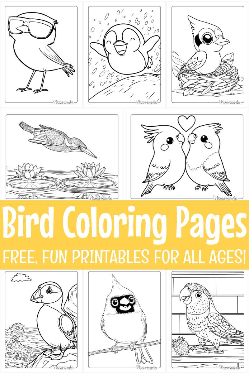 printable bird pictures to color
