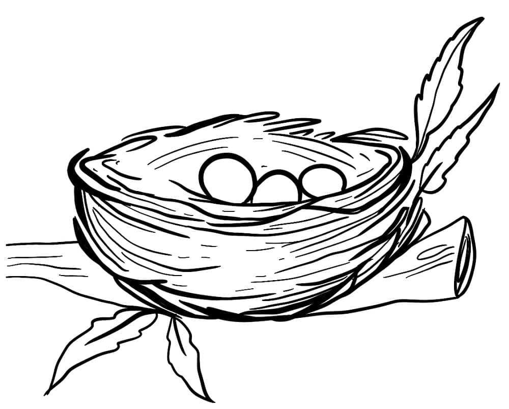 printable birds nest
