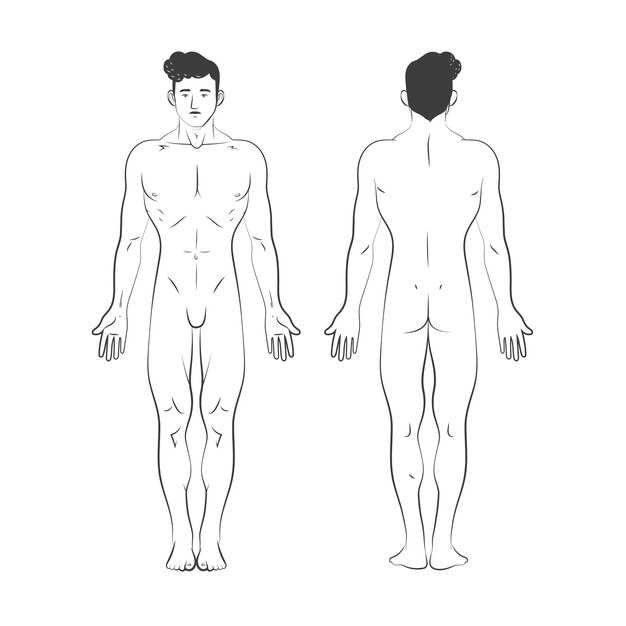 printable body outline