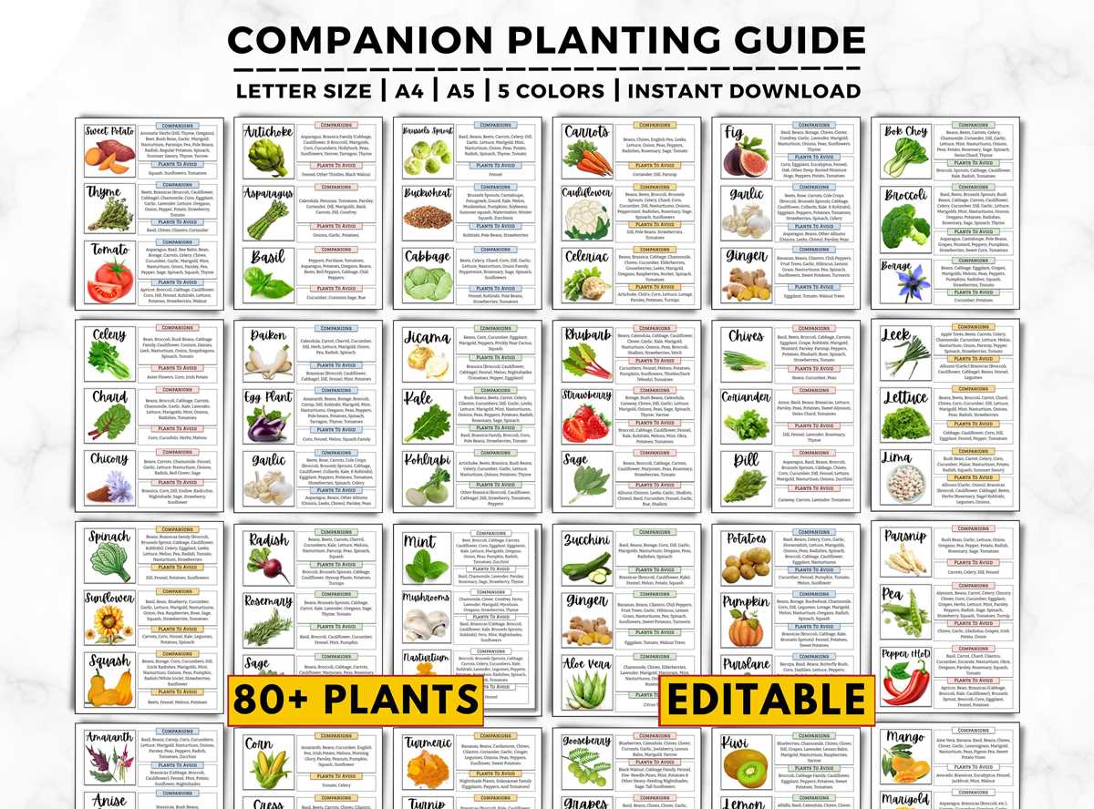 printable companion gardening chart
