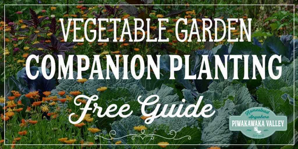 printable companion gardening chart