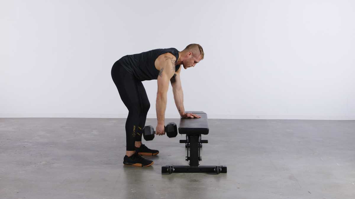 printable dumbbell back exercises