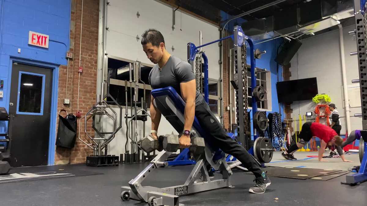 printable dumbbell back exercises